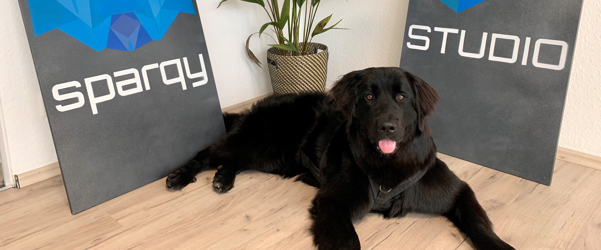 Bürohund