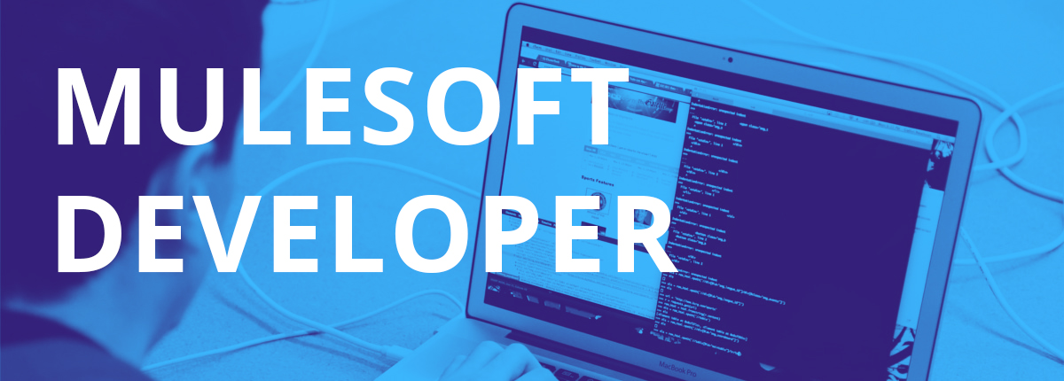 (Senior) MuleSoft Developer